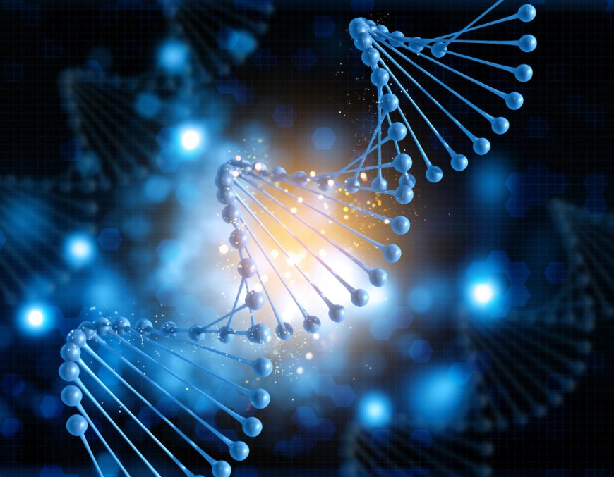 Rapid Expansion Expected in RNA Therapeutics Market by 2033