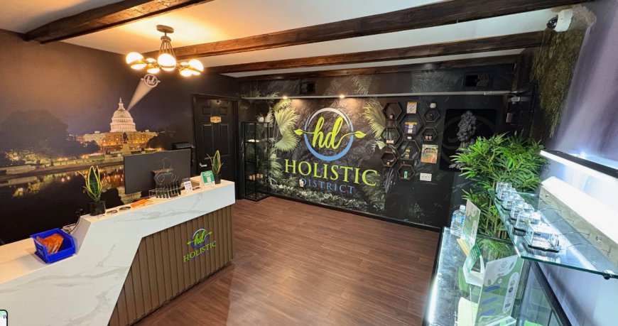 Best Pre-Rolls U Street DC: Exploring Popular Cannabis Choices