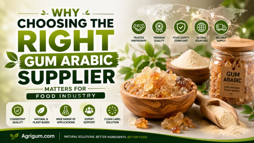 Why Choosing the Right Gum Arabic Supplier Matters for Food