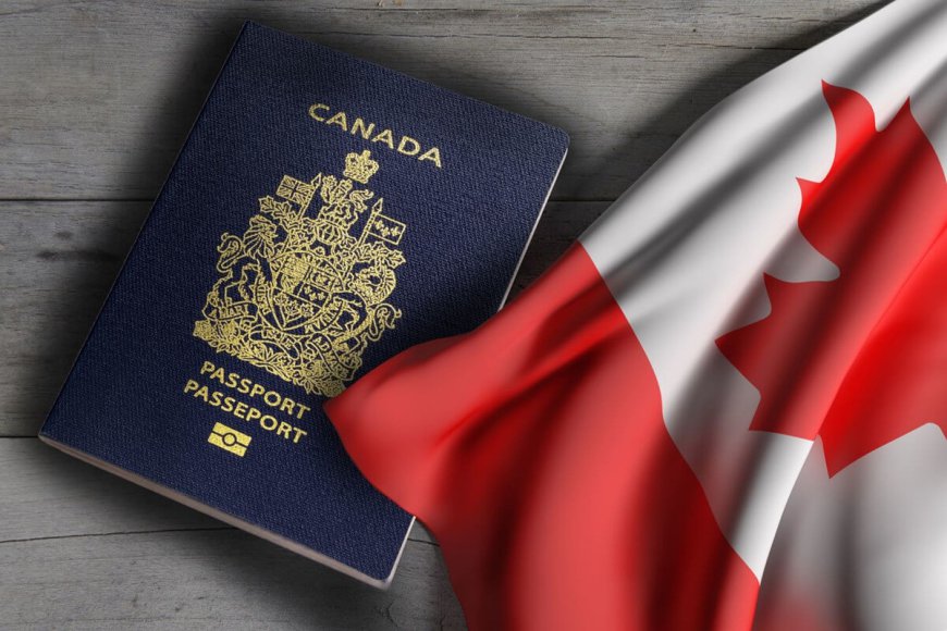 Onshore Immigration Recognized Among Best Immigration Consultants in Brampton, Ontario