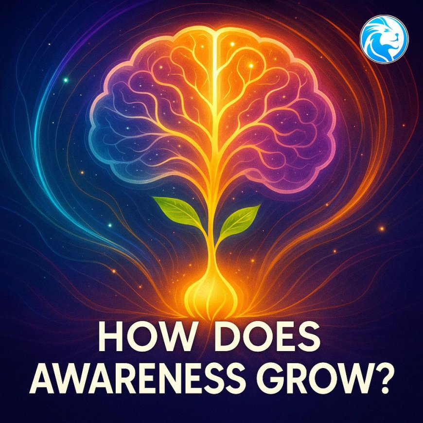 808 Lion Lifestyle | How Does Awareness Grow? – Build Lasting Self-Awareness