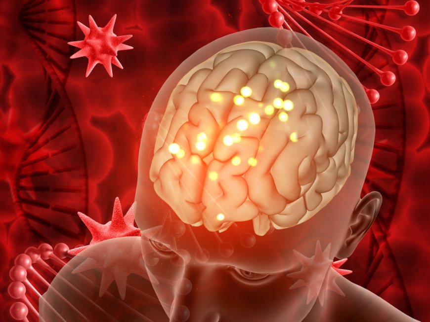 Global Blood Brain Barrier Market Size and Growth Forecast 2026-2033