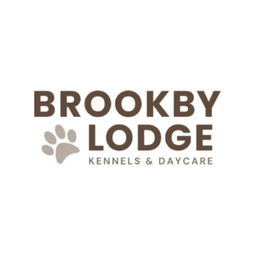 Dog Daycare Near Me, Dog Daycare Auckland and Cattery Auckland