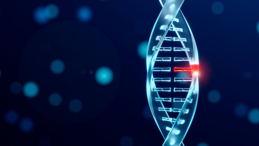 Genome Editing Market Size, Trends, and Growth Forecasts to 2033