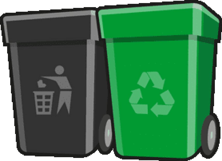 Affordable Trash Bin Cleaning Service by Trusted Cleaning Experts