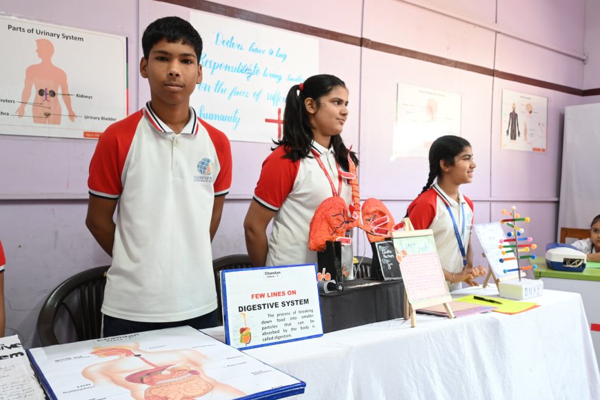 NN RSV Senior Secondary School Bikaner Opens Admissions for 2026-27
