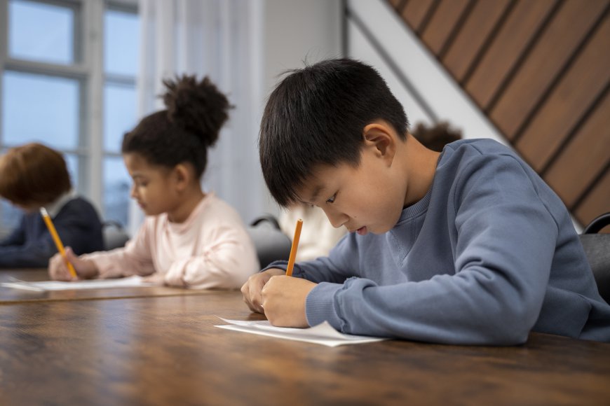Private Tutoring Chinese Class In Forest Hill For Personalized Child Language Learning