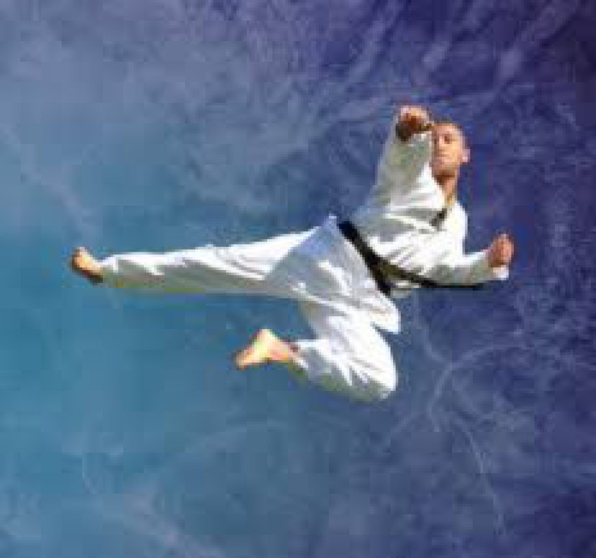 Pinnacle Martial Arts | Best MARTIAL ARTS Chester Hill Classes