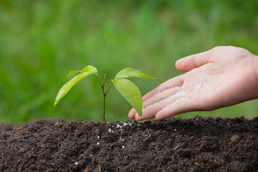 Russia Micronutrient Fertilizers Advance with Precision Agriculture