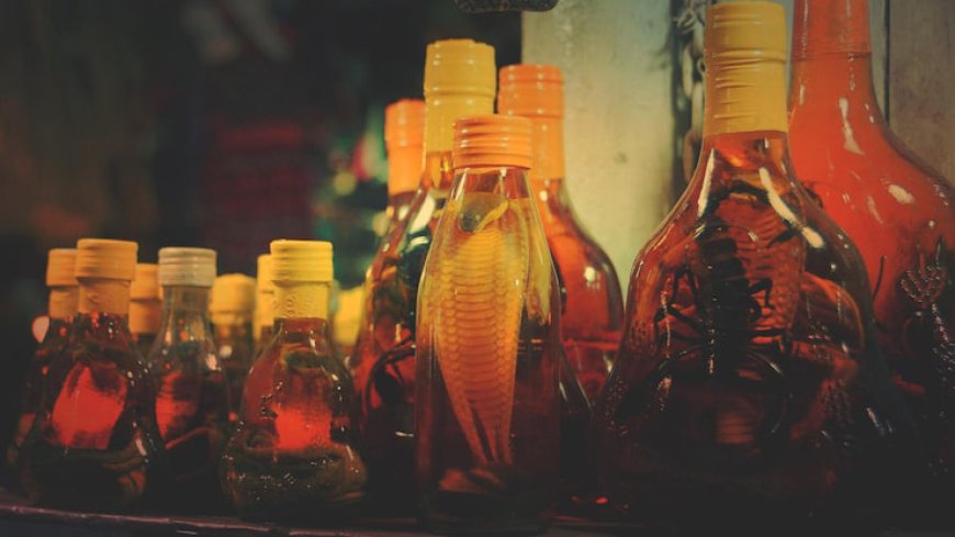 Japan Beer Advances Through Premiumization, Tax Reform, and Health-Conscious Innovation