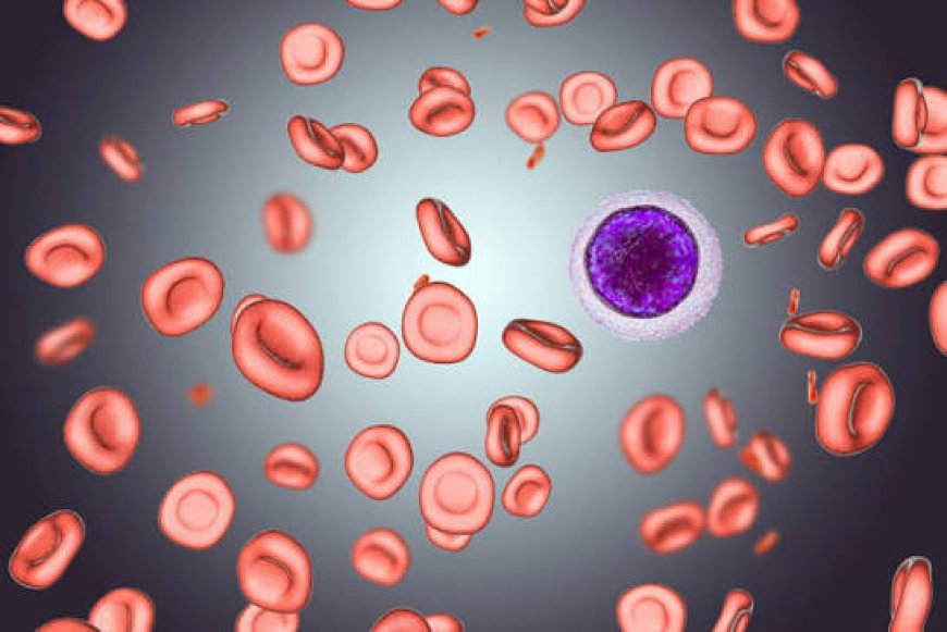Warm Autoimmune Hemolytic Anemia Market Size and Growth Outlook 2026-2033