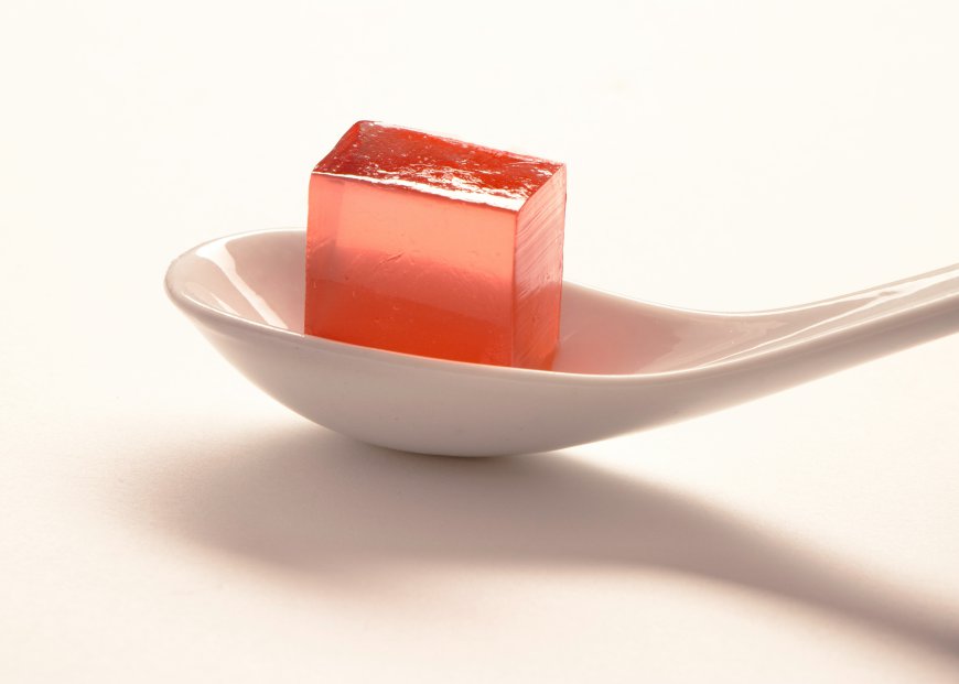 Global Gelatin Market Size, Trends, and Growth Forecast 2026-2033