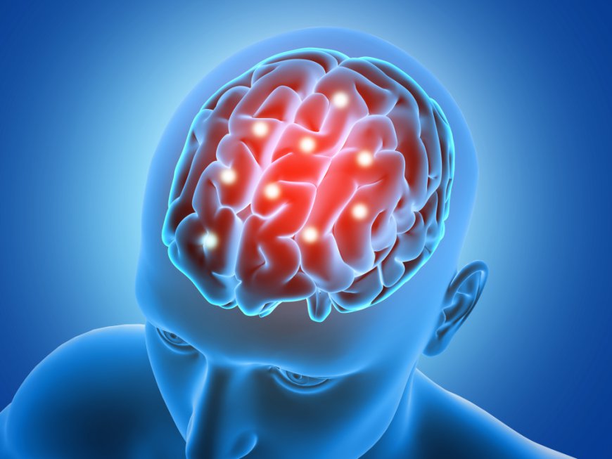 Transient Ischemic Attack Market: Size, Trends, and Strategic Insights 2026-2033