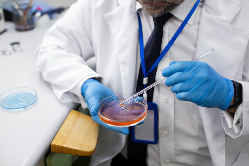 Checkpoint Inhibitor Refractory Cancer Market Size, Trends, and Growth Forecast 2026-2033