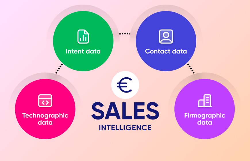 How to Use Multidata Hub for B2B Prospecting