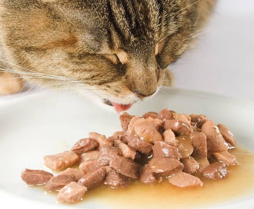 Global Wet Pet Food Market: Size, Trends, Drivers, and Strategic Outlook