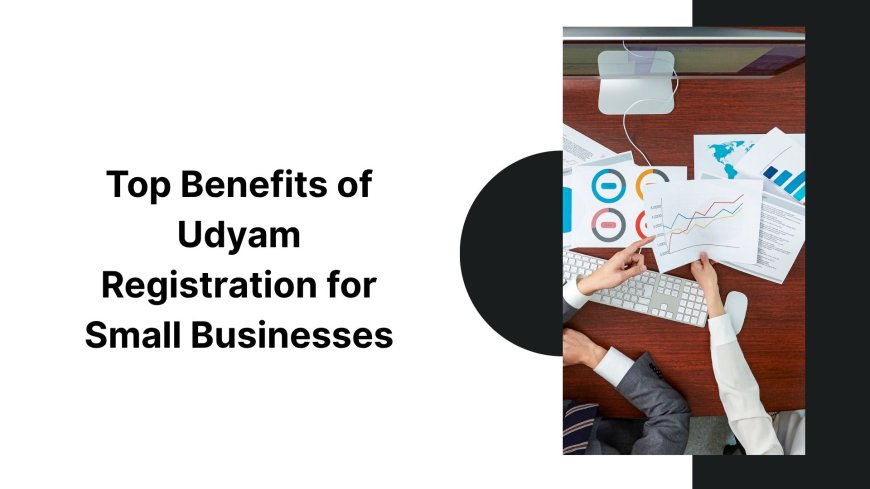 Top Benefits of Udyam Registration for Small Businesses