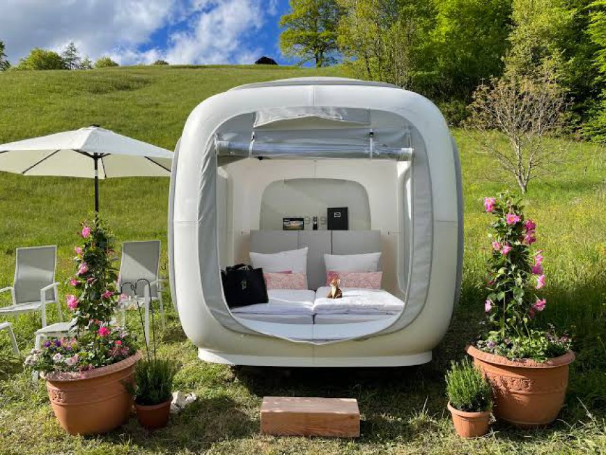 Alternative Accommodation Market: Size, Growth, Trends, and Strategic Insights