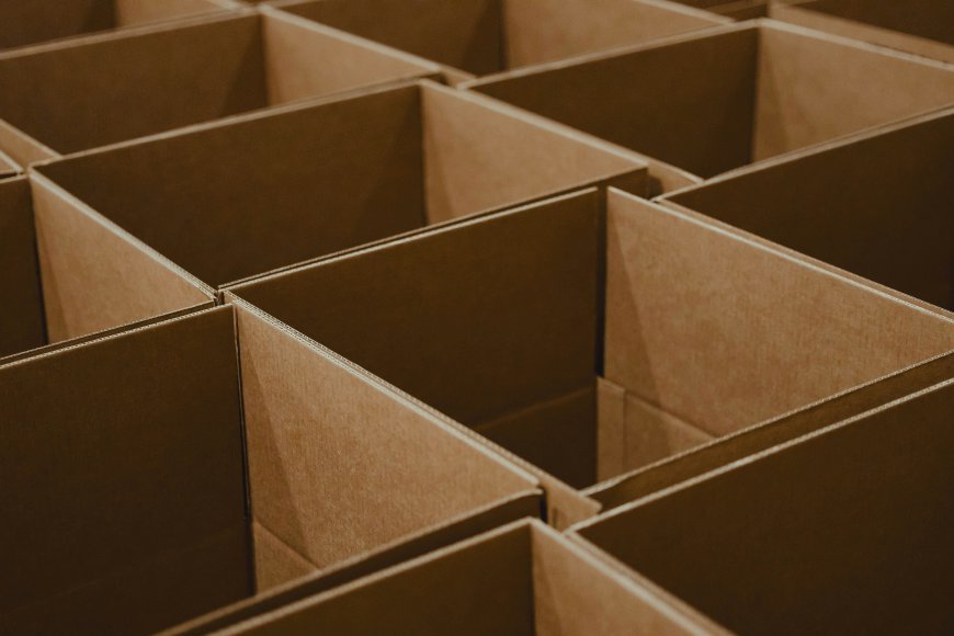 Retail Ready Packaging Market Size, Trends, and Growth Analysis 2026-2033