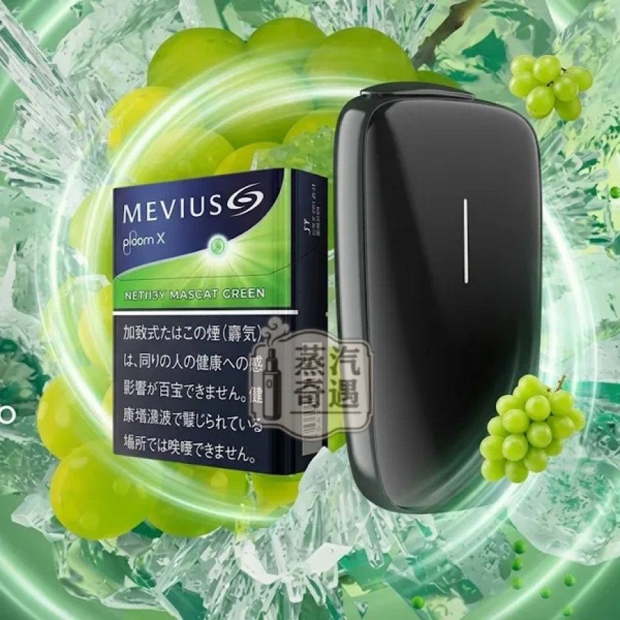 如何選擇適合的 IQOS 型號？新手必讀的選擇指南