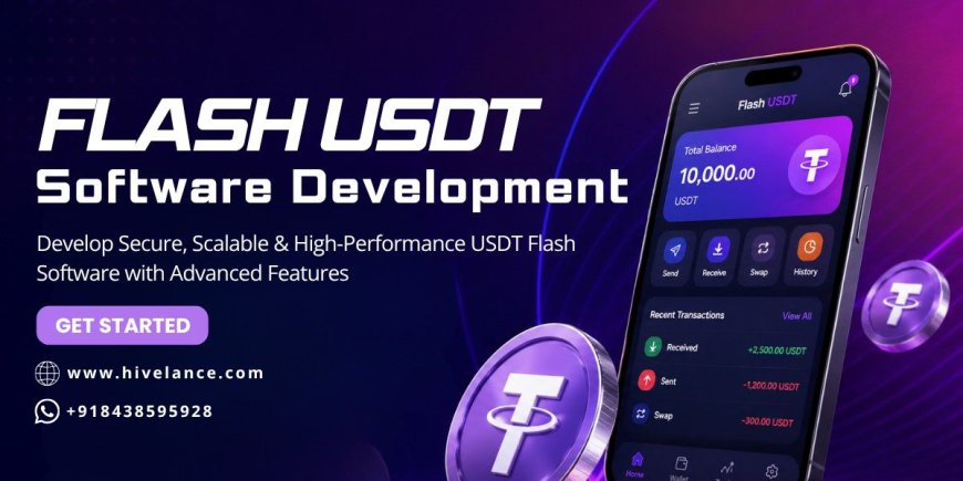 Flash USDT Transaction Simulation Software Development Guide 2026