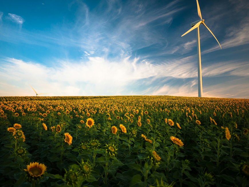 Global Green Hydrogen Market Size, Trends, and Growth Forecast 2026-2033