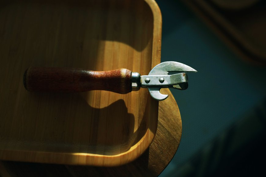 Global Can Openers Market Size, Trends, and Growth Outlook 2026-2033
