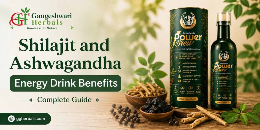 Shilajit and Ashwagandha Energy Drink Benefits: Complete Guide