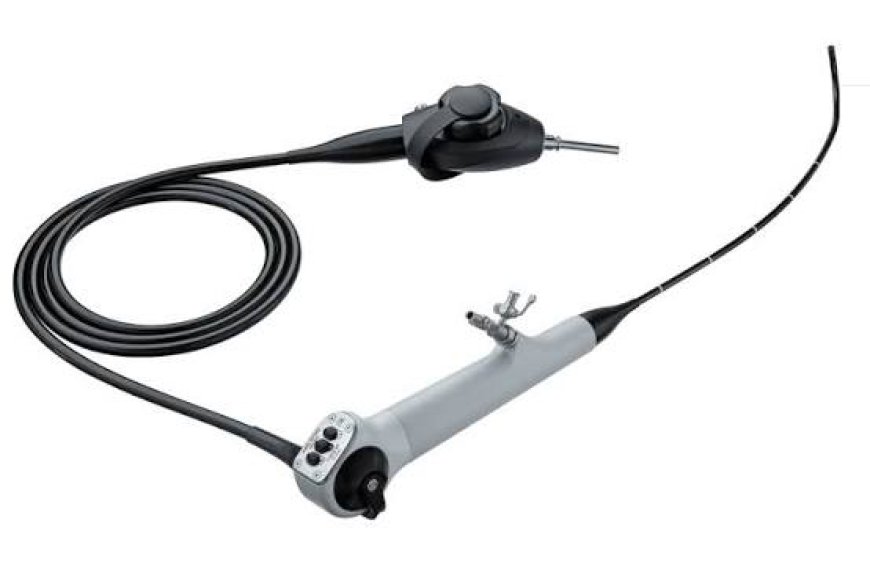 U.S. Cystoscopy Market: Size, Trends, and Strategic Outlook 2026-2033