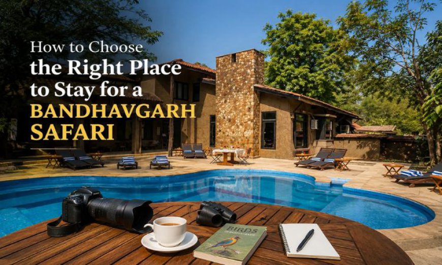 How to Choose the Right Place to Stay for a Bandhavgarh Safari