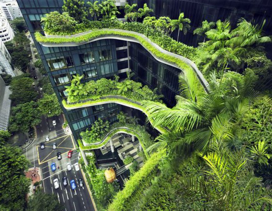 Global Green Buildings Market: Size, Trends, Drivers, and Strategic Insights