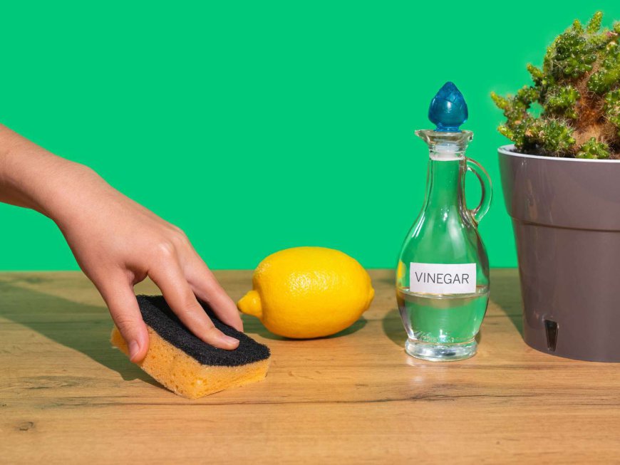 Global Vinegar Market Size, Trends, and Strategic Outlook 2026-2033