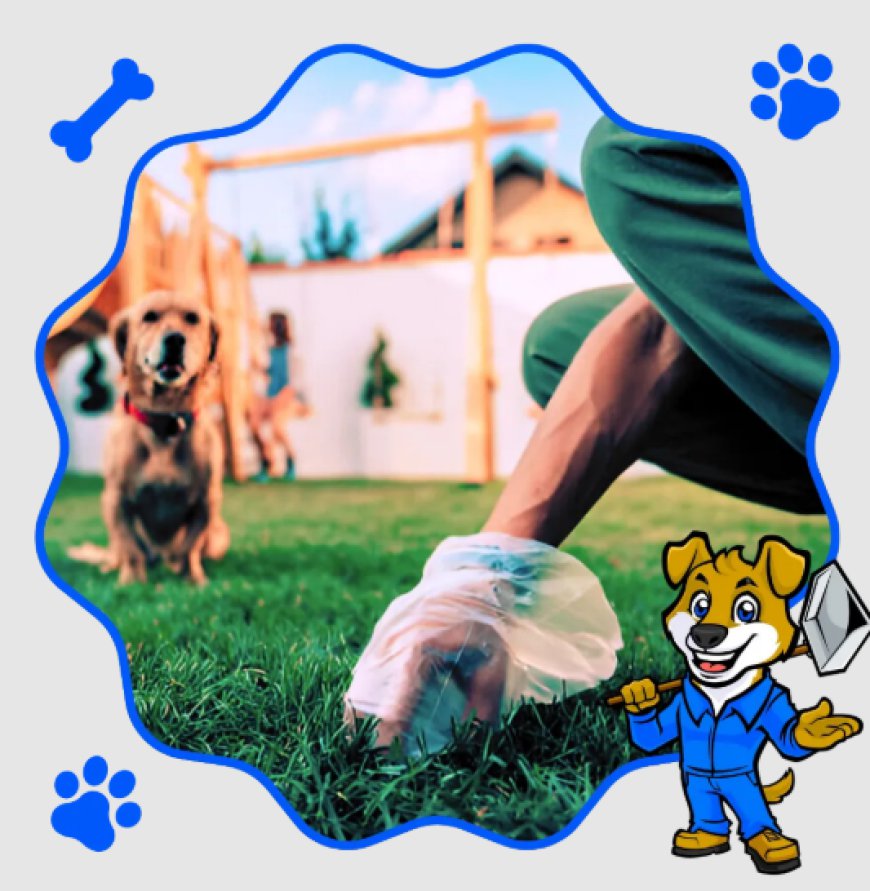 Dog Poop Yard Cleaning Service Near Me: The Easy Way to Keep Your Yard Fresh and Healthy