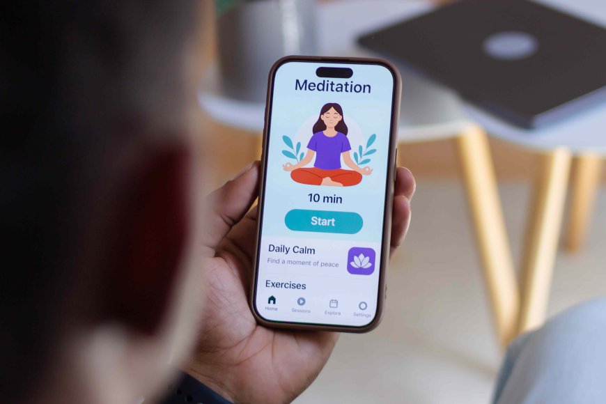 Global Wellness Apps Market Size and Growth Trends 2026-2033