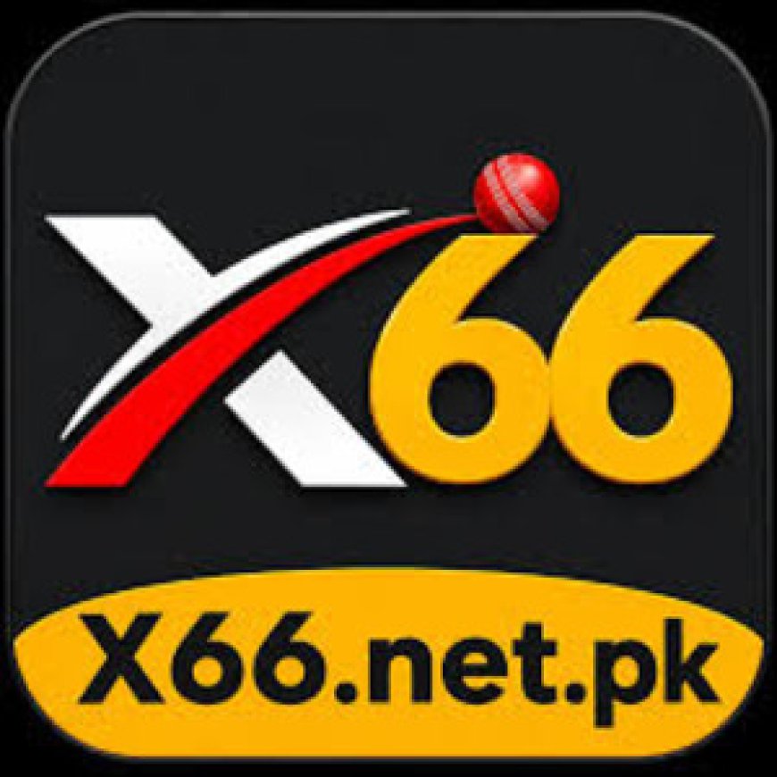 X66 Game – A Simple Informational Overview