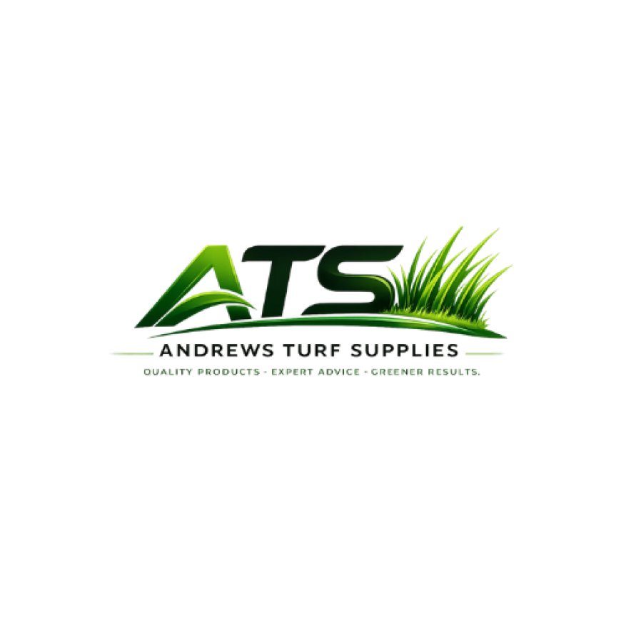How to Choose the Right Buffalo Turf Sydney for Your Lawn