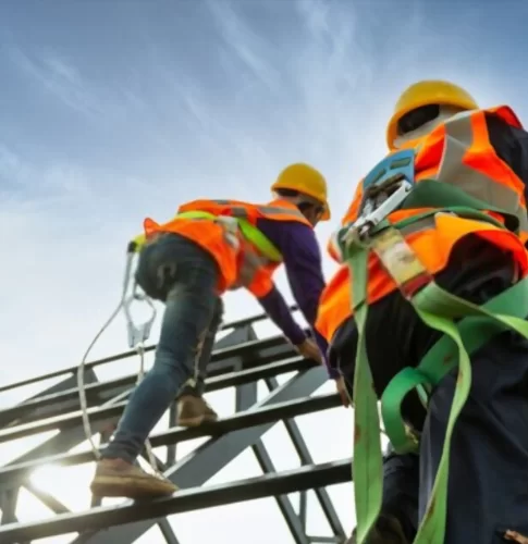 Fall Arrest System for Ladders: Ensuring Workplace Safety with Indianinovatix