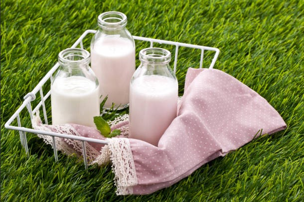 A2 Dairy in 2026: What the Label Really Means  