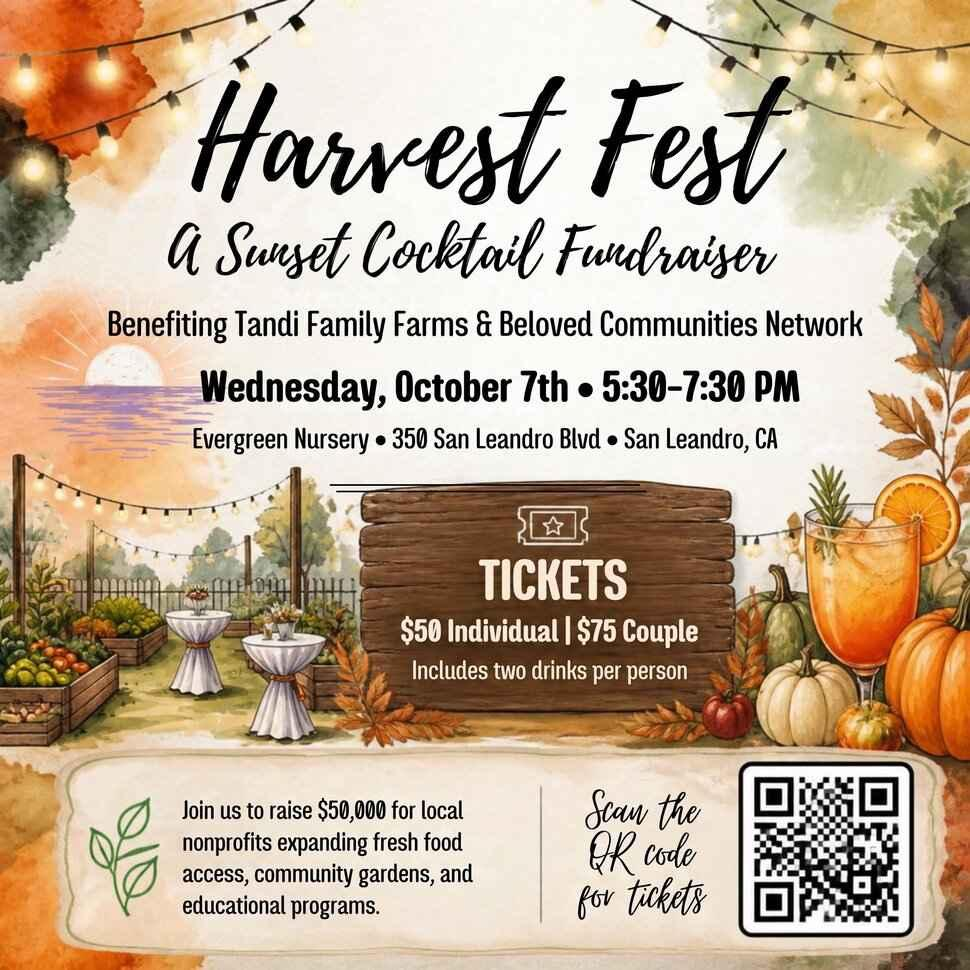 Harvest Fest: A Sunset Fundraiser at Our Plant Nursery