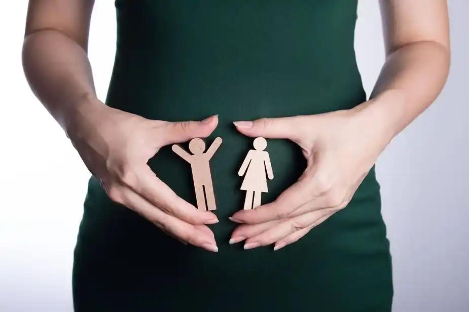 Pregnancy Discrimination & PDL Claims in California | Guide