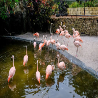 First-Time Trip to Florida: The Best Advice for Visiting the USA