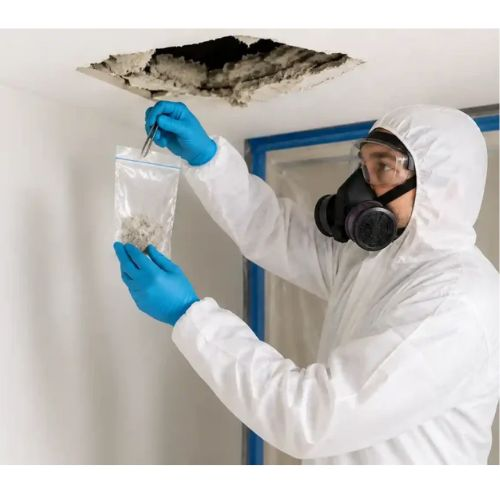 Eco Asbestos Testing | Asbestos Testing Sarasota FL & Inspection Services 