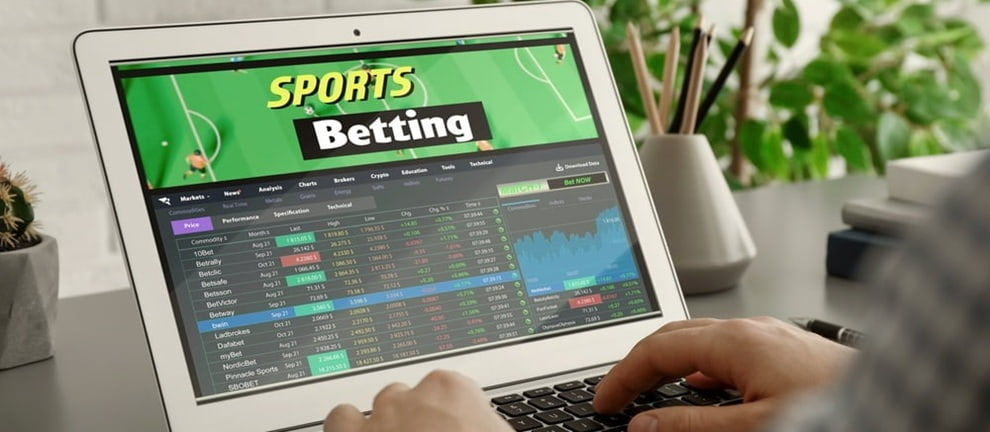 Selecting Sports Betting Sites for UAE Users