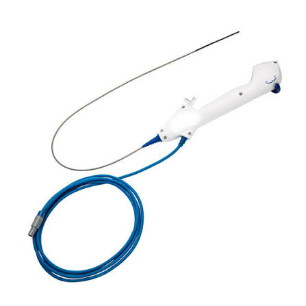 Ureteroscope Market Size, Growth, and Industry Trends 2026-2033