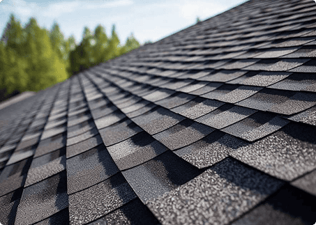 Affordable Roof Replacement and Emergency Roof Repair Company Guide for Homeowners