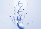Global Methylmalonic Acidemia Market Size, Trends, and Growth Outlook 2026-2033