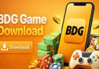 BDG Game: Everything You Need to Know About the Modern Online Gaming Experience
