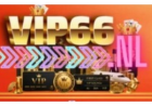 VIP66