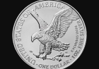 How Does A 1 Oz American Coin Hold Value Over Time?