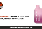 Lost Mary BM600: A Guide to Features, Flavours, and Key Information